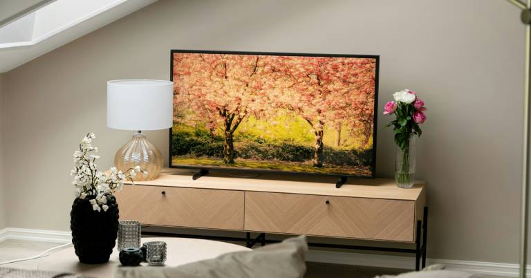 Best 50 Inch Oled Tv